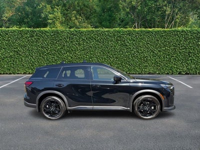 2026 INFINITI QX60 SPORT