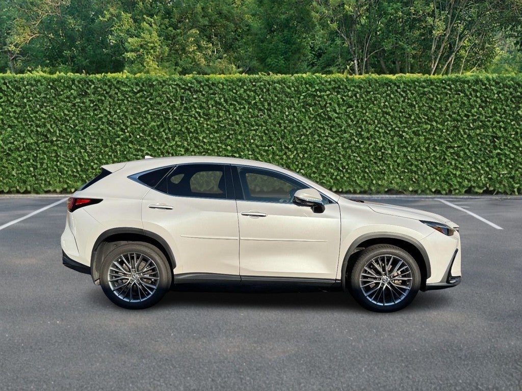 2022 Lexus NX NX 350h Luxury AWD