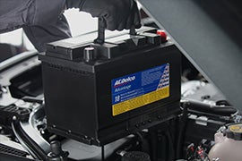 PROFESSIONAL SILVER BATTERY